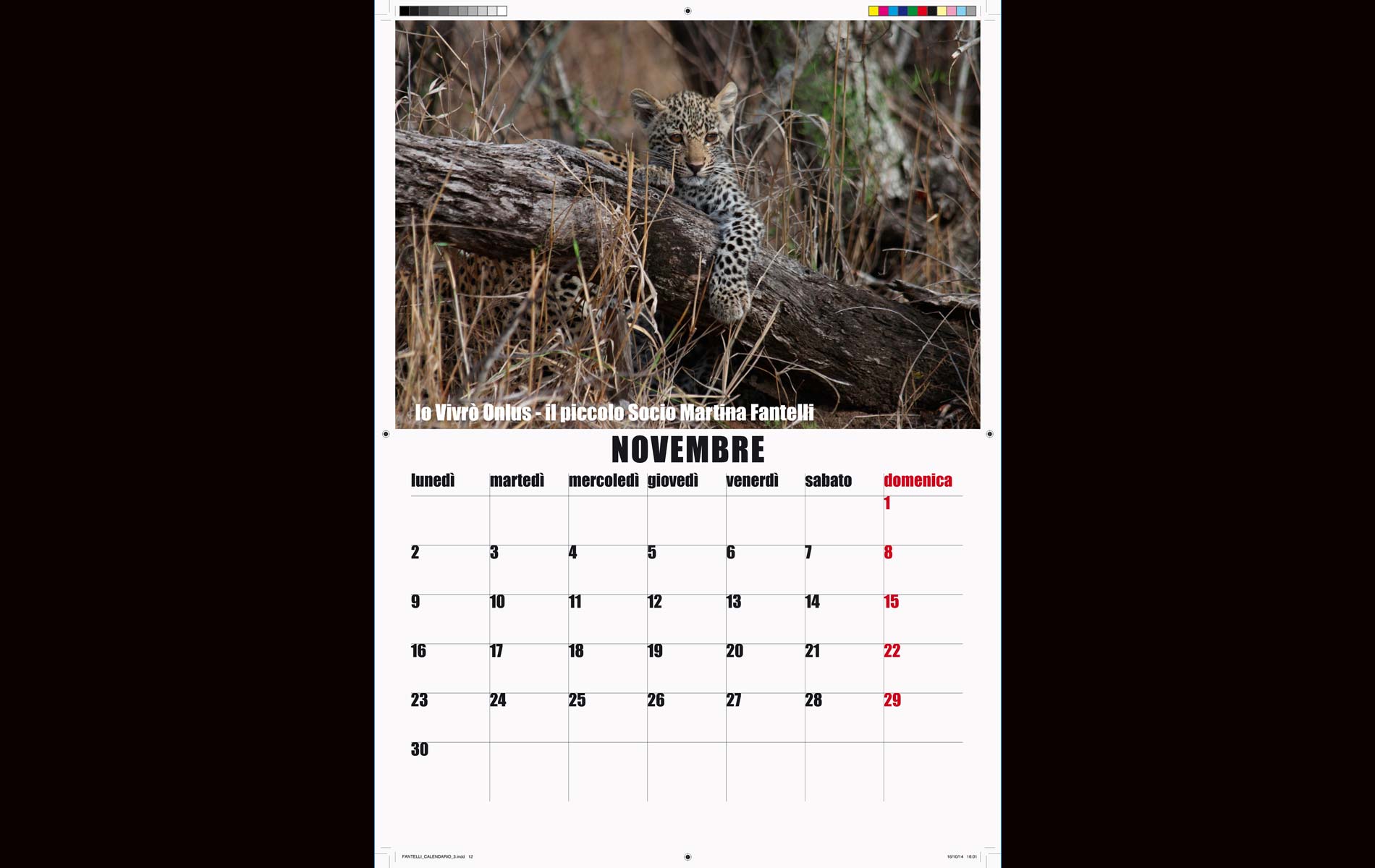 "IO VIVRO' " - onlus - 2015 Calendar November - © Graziano Villa