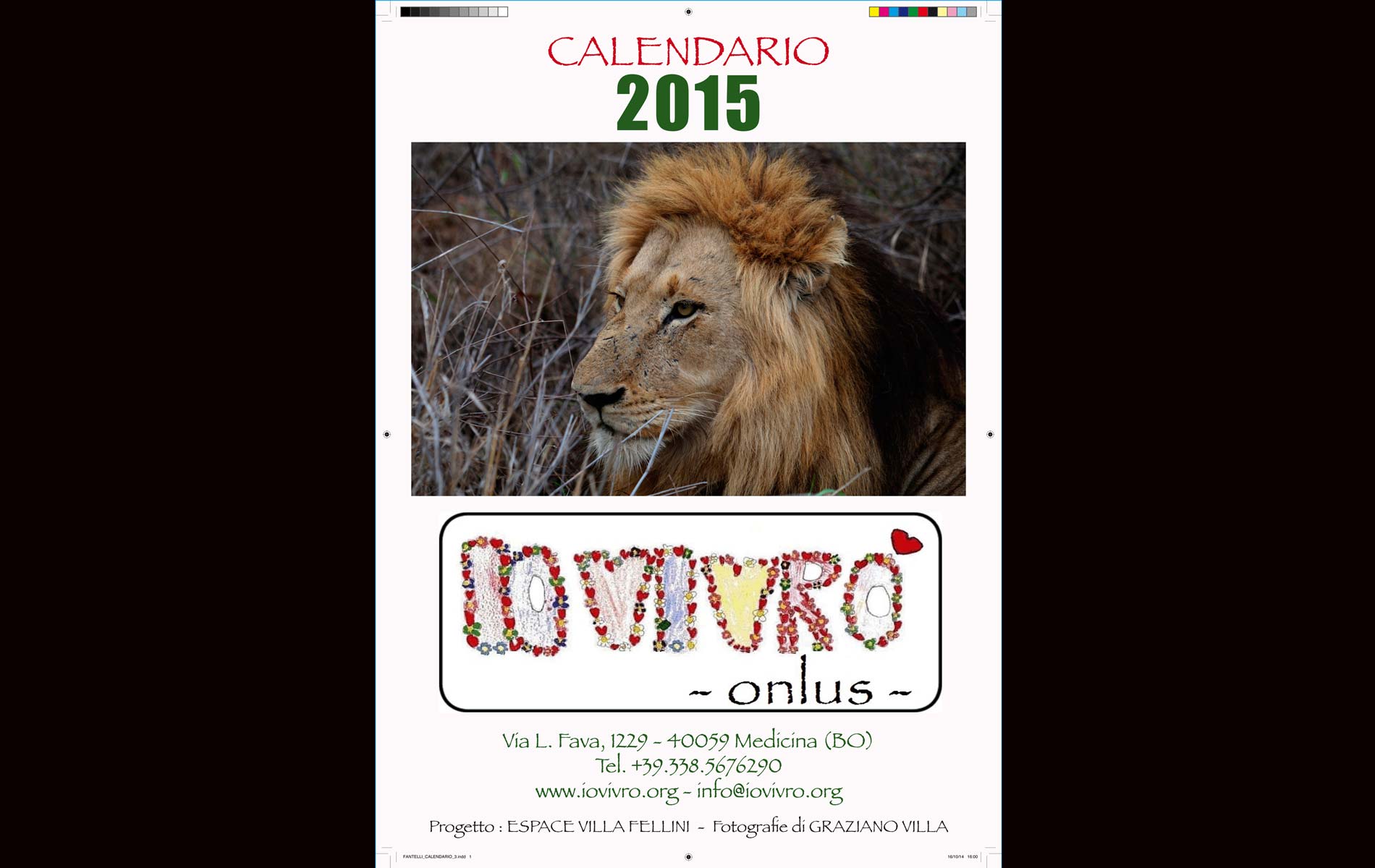 "IO VIVRO' " - onlus - 2015 Calendar Cover - © Graziano Villa